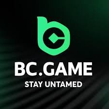 Maximize Your Gaming Experience with BC.Game Bonuses
