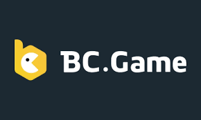 Understanding the BC.Game PH Login Process